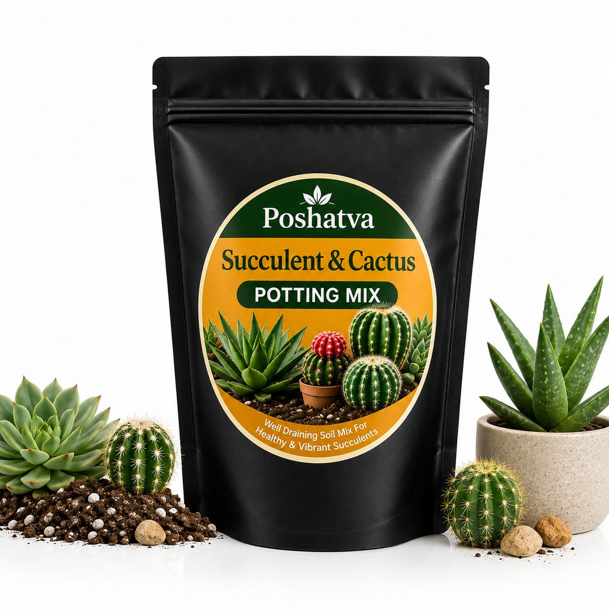 Succulent and cactus potting mix