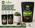 Poshatva Succulent Starter Kit – 1 KG Potting Mix, 8 Inch Plant Pot, 500g Decorative Pebbles & Garden Trowel