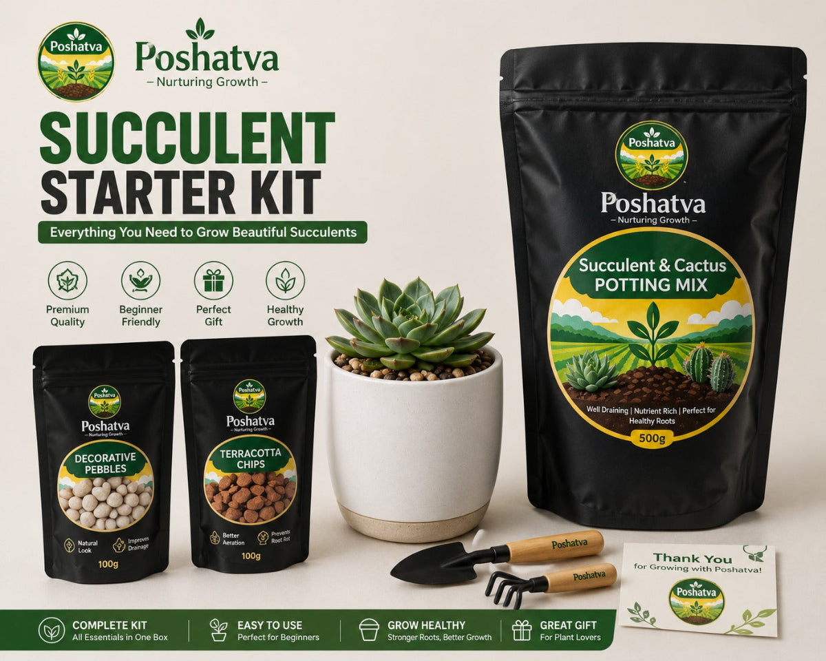 Poshatva Succulent Starter Kit – 1 KG Potting Mix, 8 Inch Plant Pot, 500g Decorative Pebbles & Garden Trowel