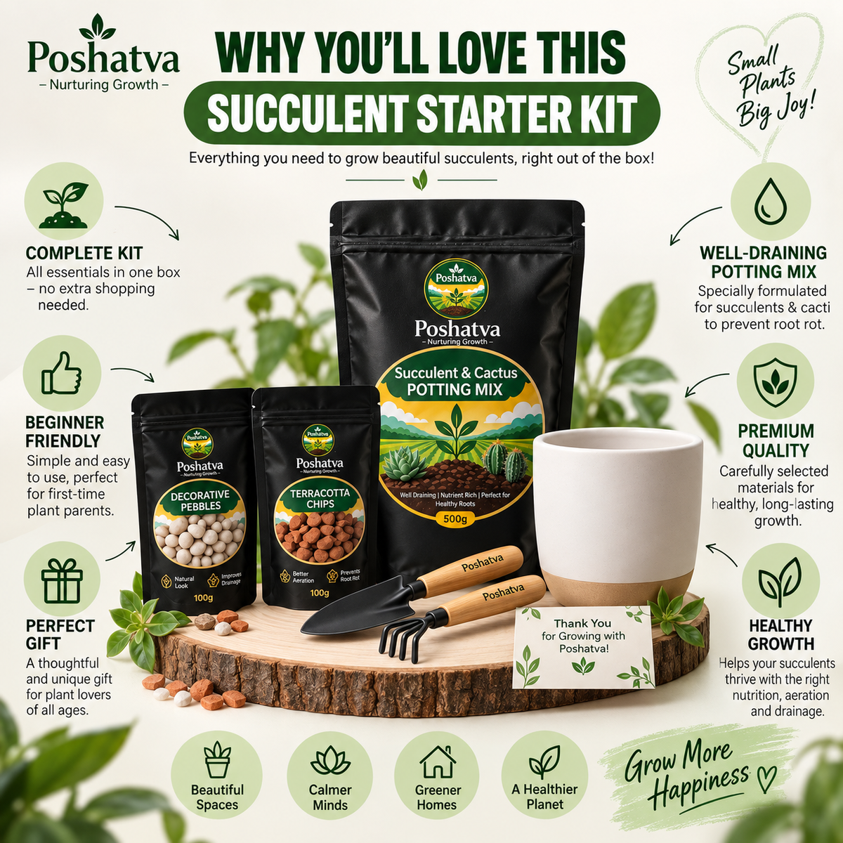 Poshatva Succulent Starter Kit – 1 KG Potting Mix, 8 Inch Plant Pot, 500g Decorative Pebbles & Garden Trowel