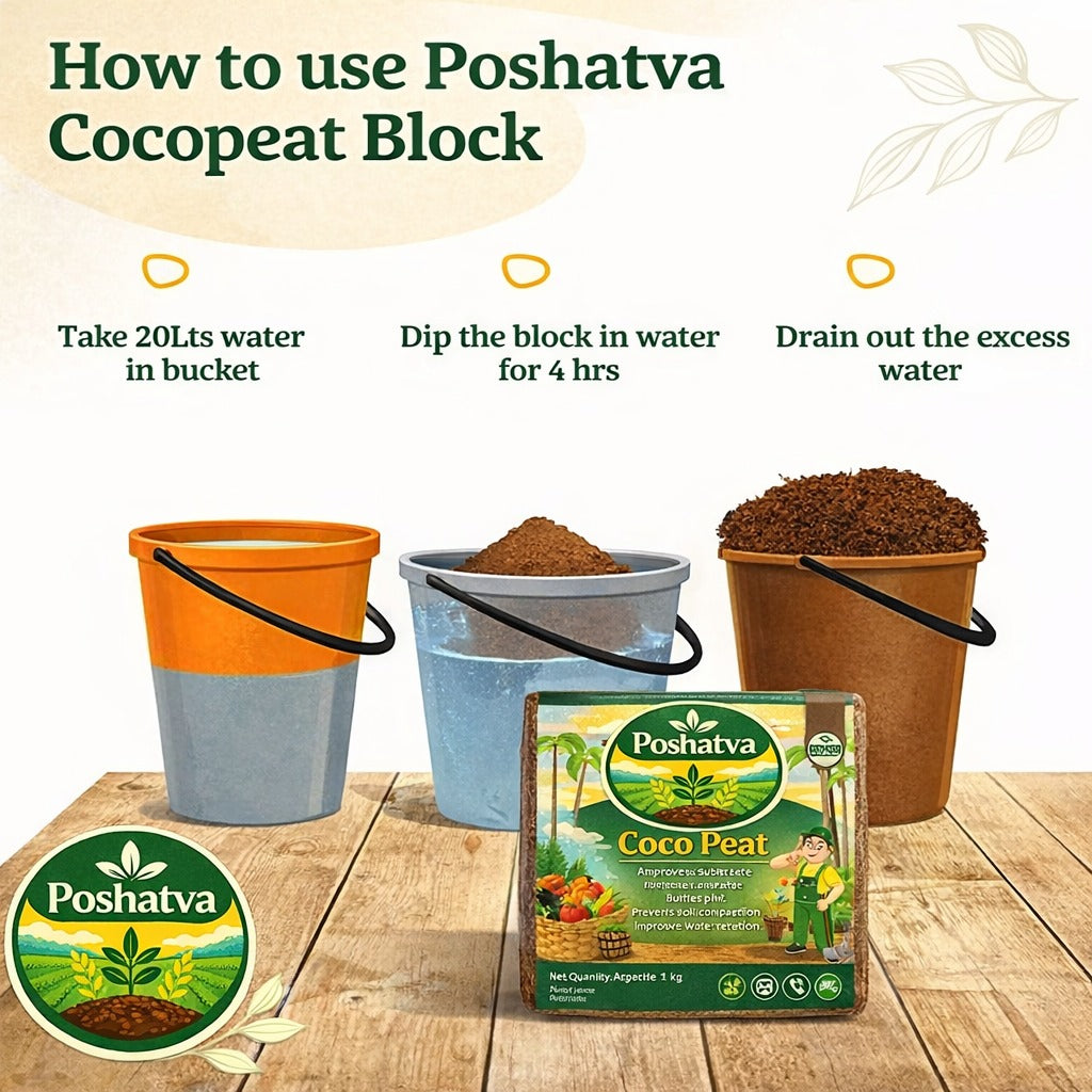 How to use Poshatva Cocopeat Block: soak in water and drain