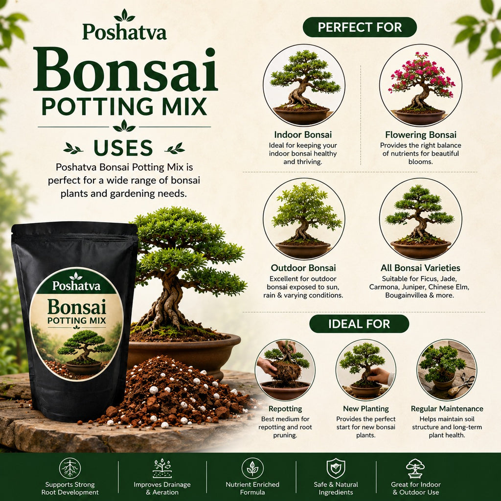 Poshatva Bonsai Potting Mix | Premium Soil Mix for Indoor & Outdoor Bonsai Plants