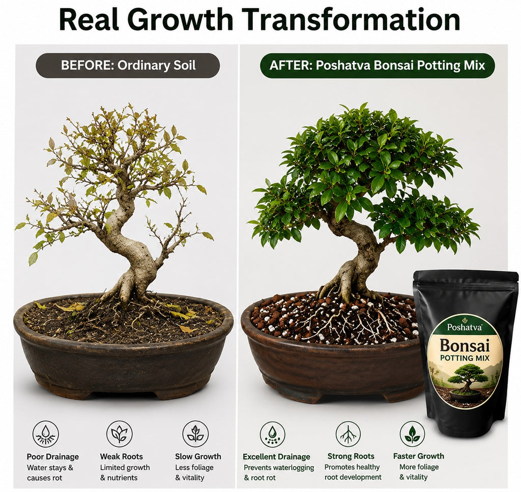Poshatva Bonsai Potting Mix | Premium Soil Mix for Indoor & Outdoor Bonsai Plants