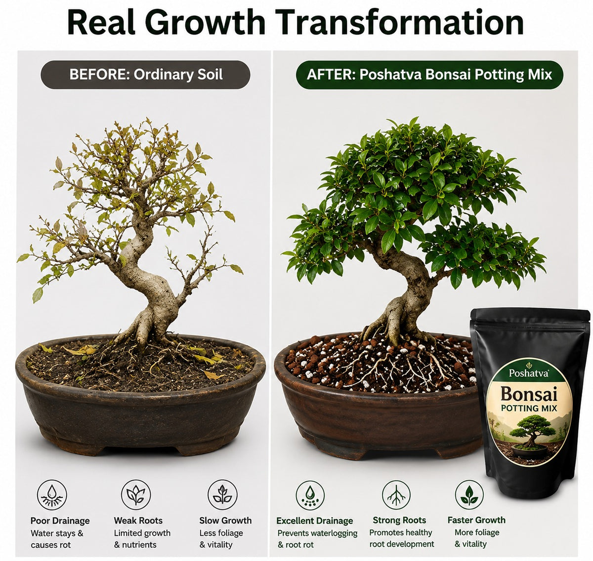 Poshatva Bonsai Potting Mix | Premium Soil Mix for Indoor & Outdoor Bonsai Plants