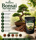 Poshatva Bonsai Potting Mix | Premium Soil Mix for Indoor & Outdoor Bonsai Plants