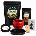 Poshatva Bonsai Starter Kit – 2KG Potting Mix, Ceramic Bonsai Pot, Terracotta Chips & Training Wire