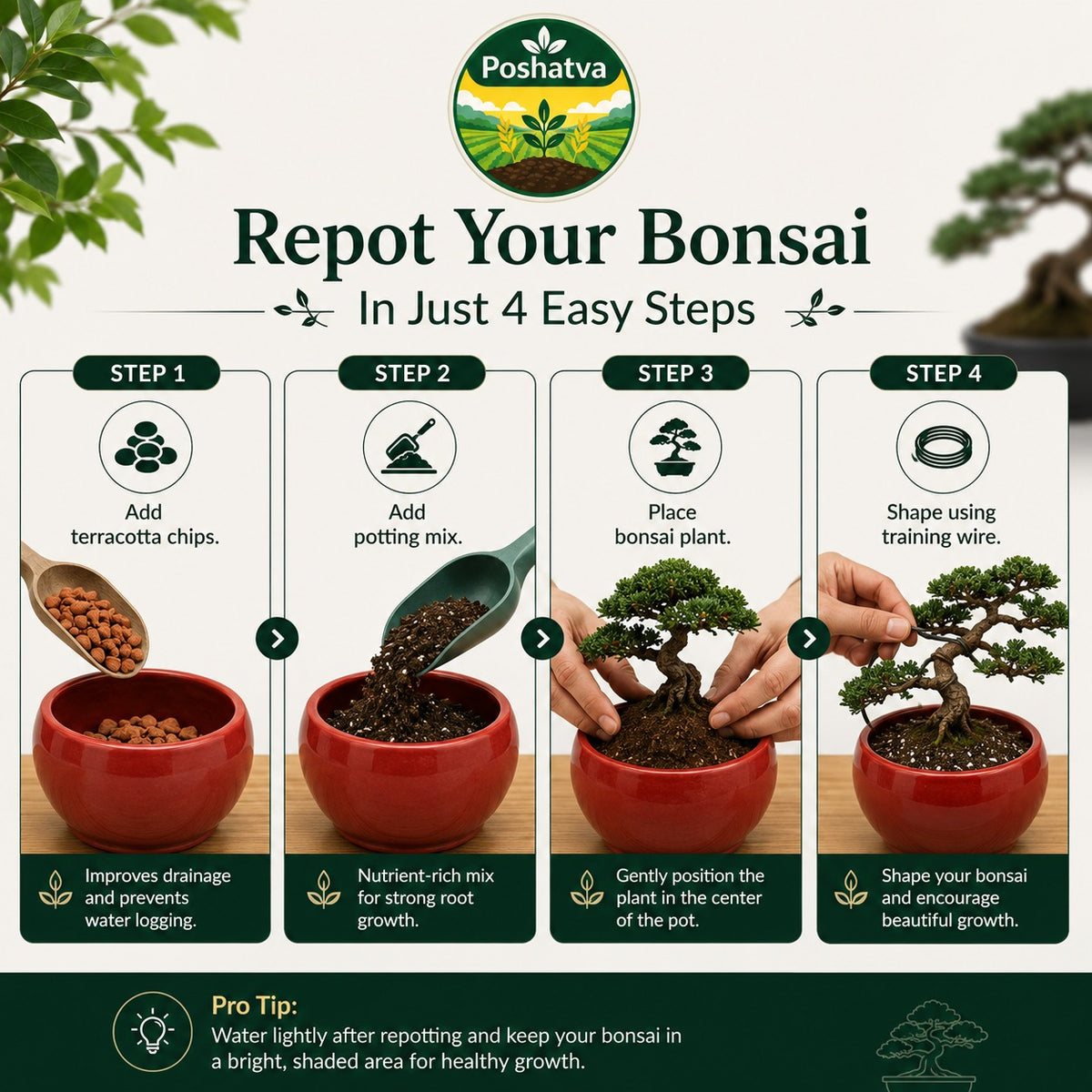 Poshatva Bonsai Starter Kit – 2KG Potting Mix, Ceramic Bonsai Pot, Terracotta Chips & Training Wire