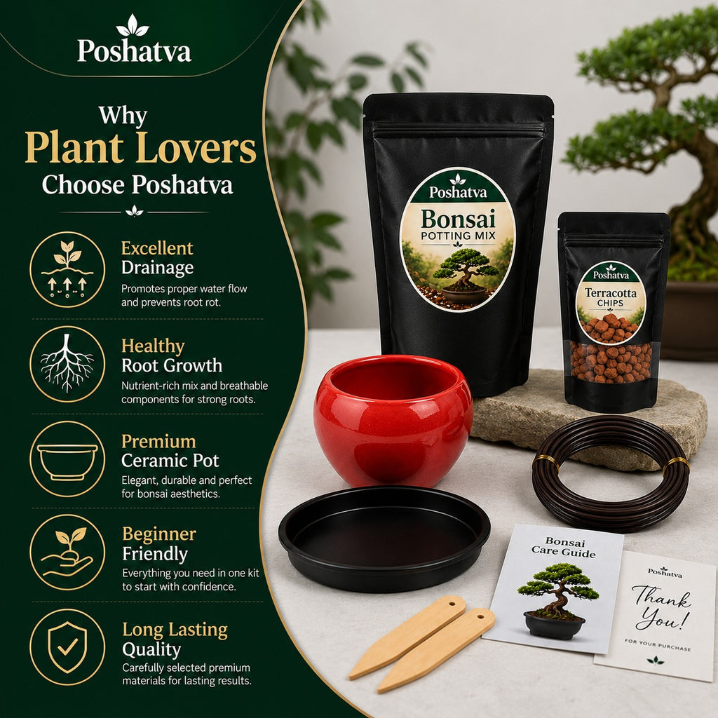 Poshatva Bonsai Starter Kit – 2KG Potting Mix, Ceramic Bonsai Pot, Terracotta Chips & Training Wire