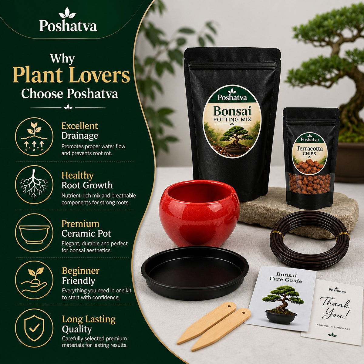 Poshatva Bonsai Starter Kit – 2KG Potting Mix, Ceramic Bonsai Pot, Terracotta Chips & Training Wire