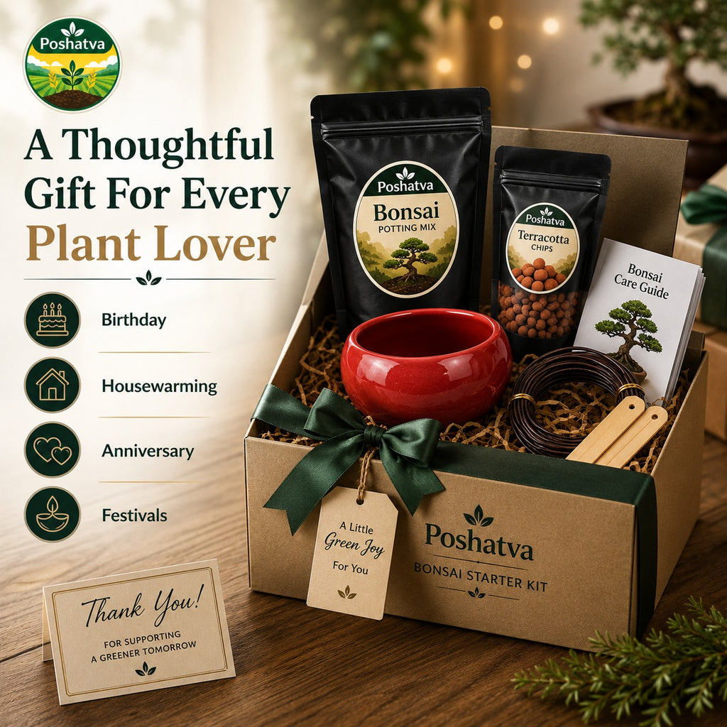 Poshatva Bonsai Starter Kit – 2KG Potting Mix, Ceramic Bonsai Pot, Terracotta Chips & Training Wire
