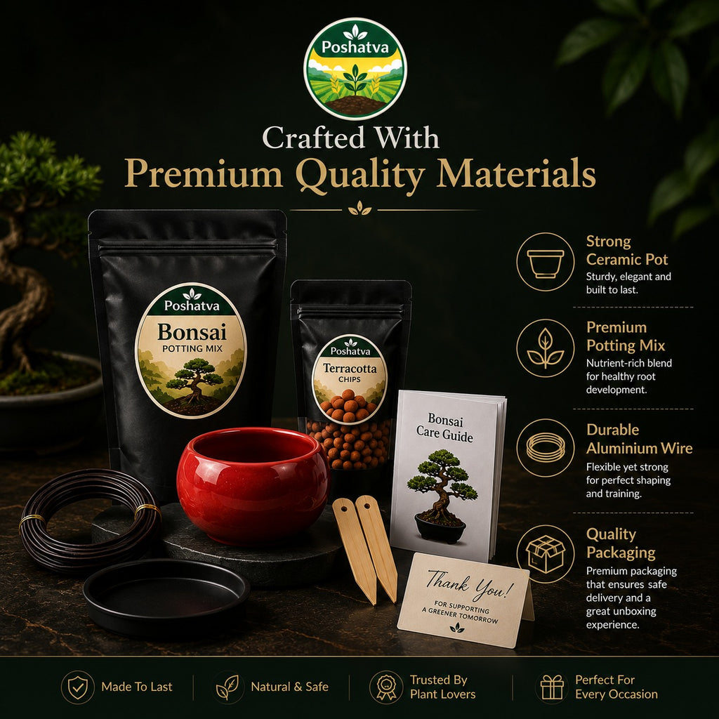 Poshatva Bonsai Starter Kit – 2KG Potting Mix, Ceramic Bonsai Pot, Terracotta Chips & Training Wire