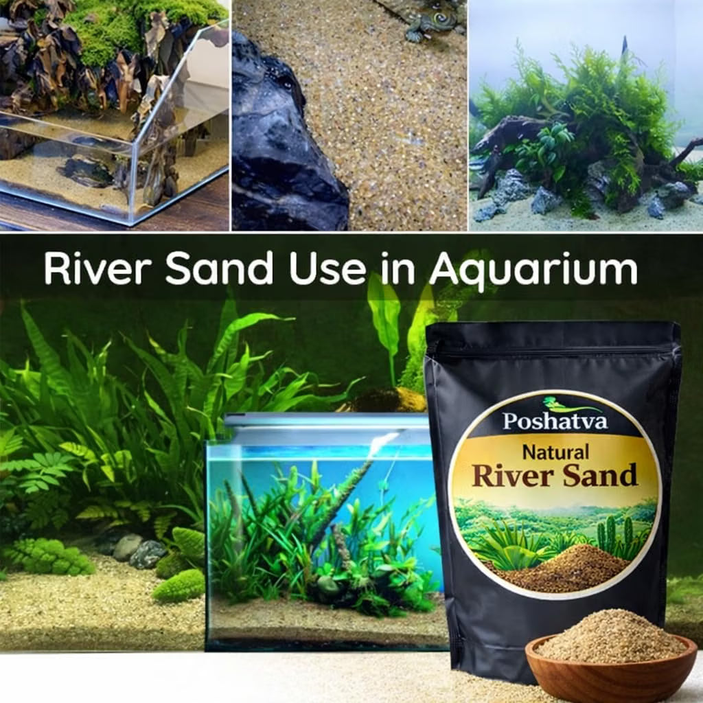 River sand used in an aquarium