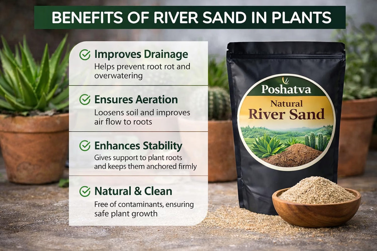 Benefits of river sand for plants
