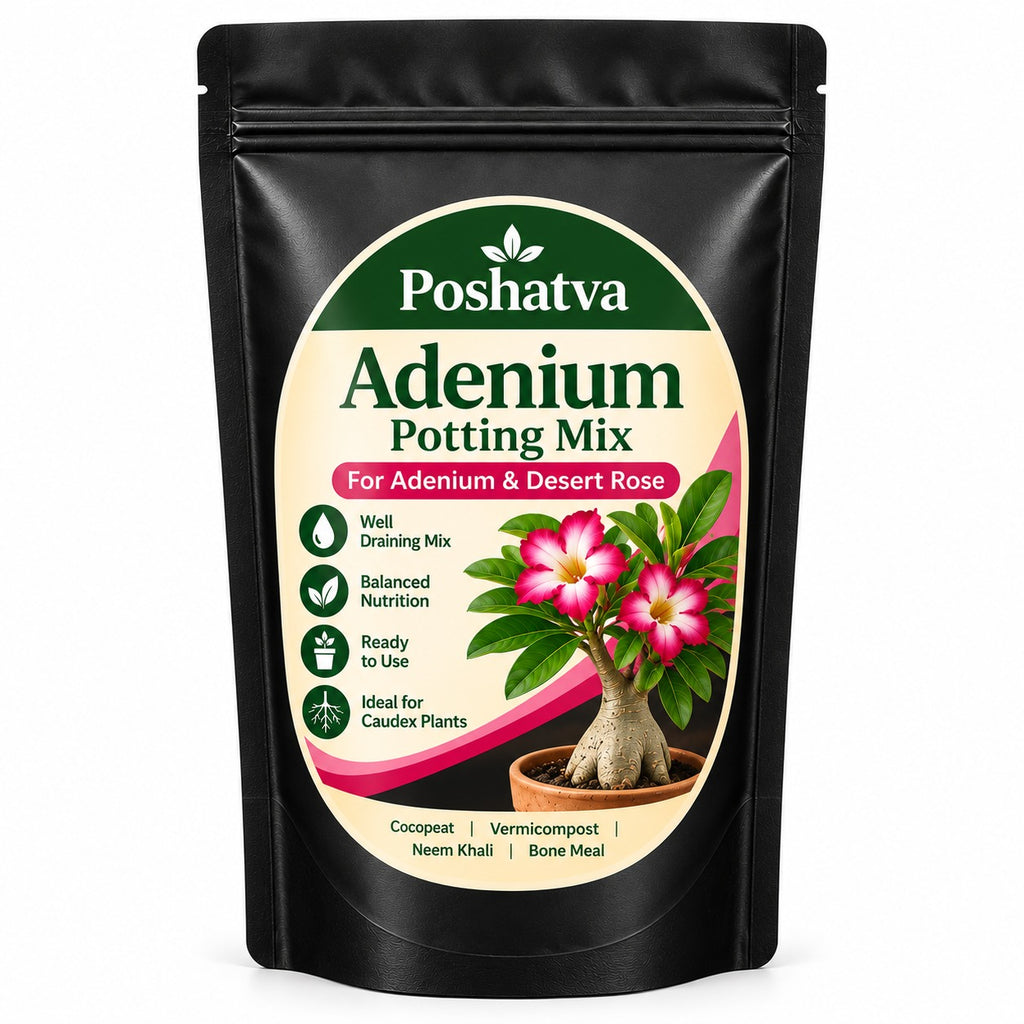 Poshatva Adenium Potting Mix