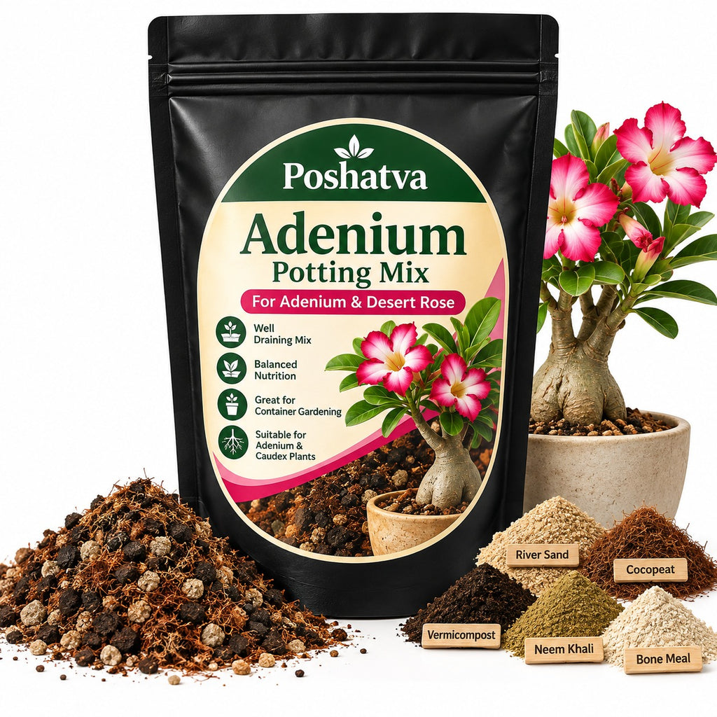 Poshatva Adenium Potting Mix