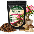 Poshatva Adenium Potting Mix