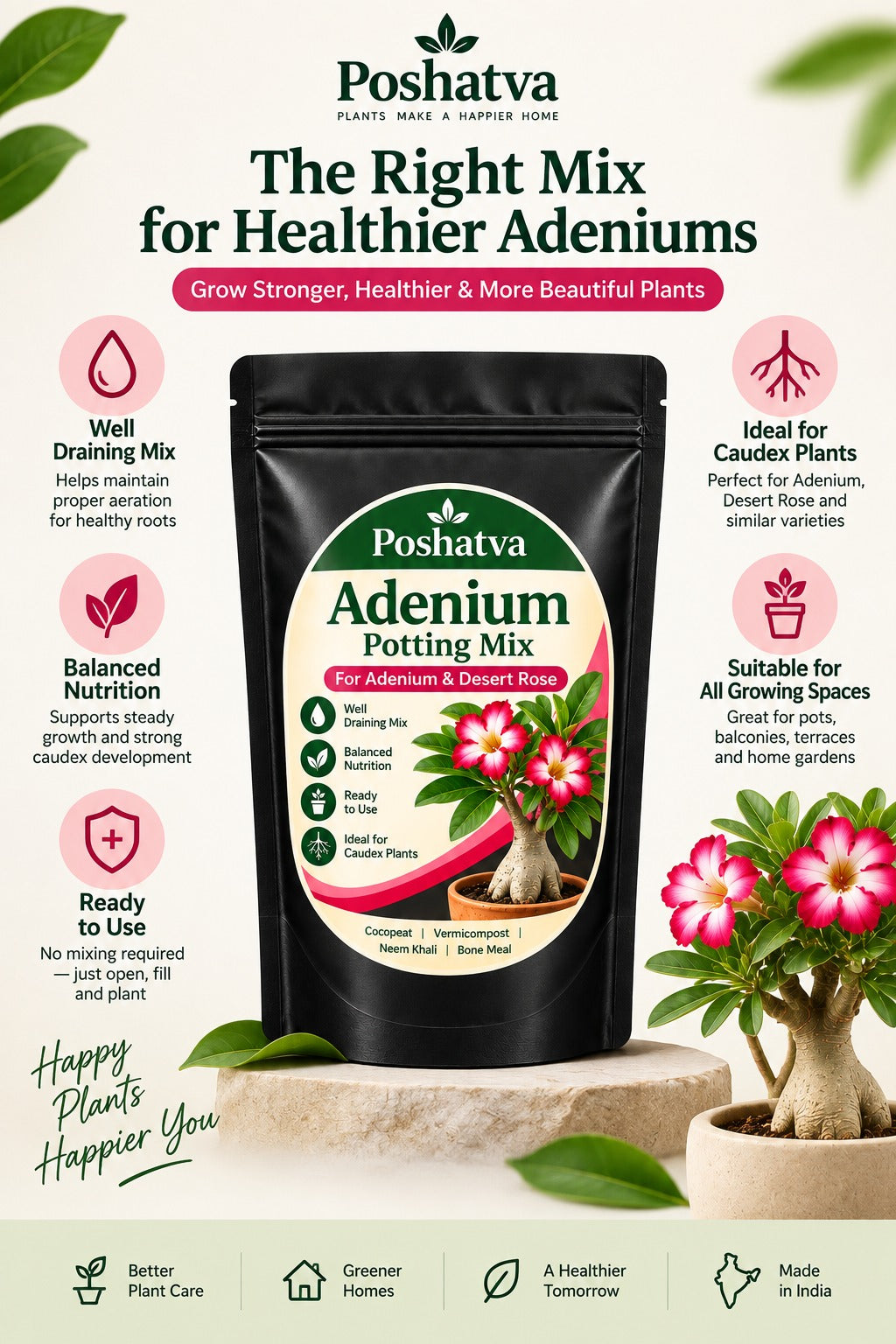 The right mix for healthier Adeniums