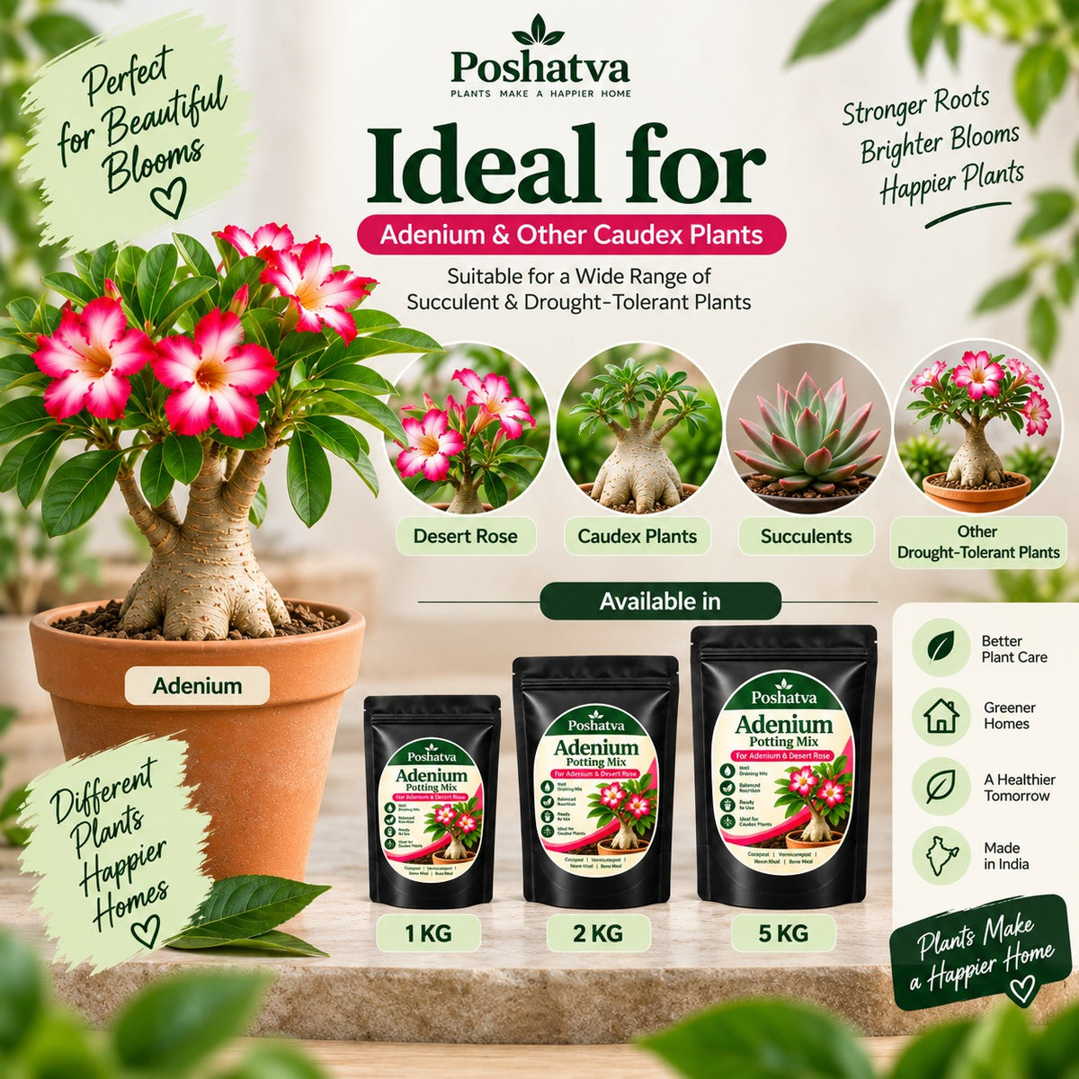 Poshatva Adenium Potting Mix