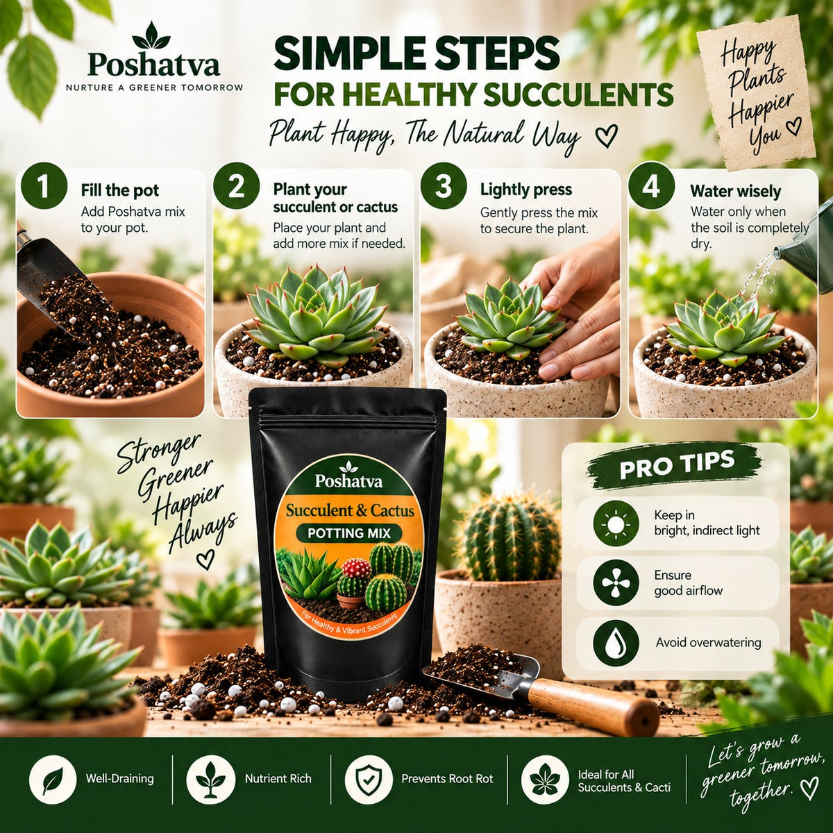 Poshatva Succulent & Cactus Potting Mix | Fast Draining Soil Mix for Succulents & Cactus | Ready-to-Use Potting Soil for Indoor & Terrace Plants