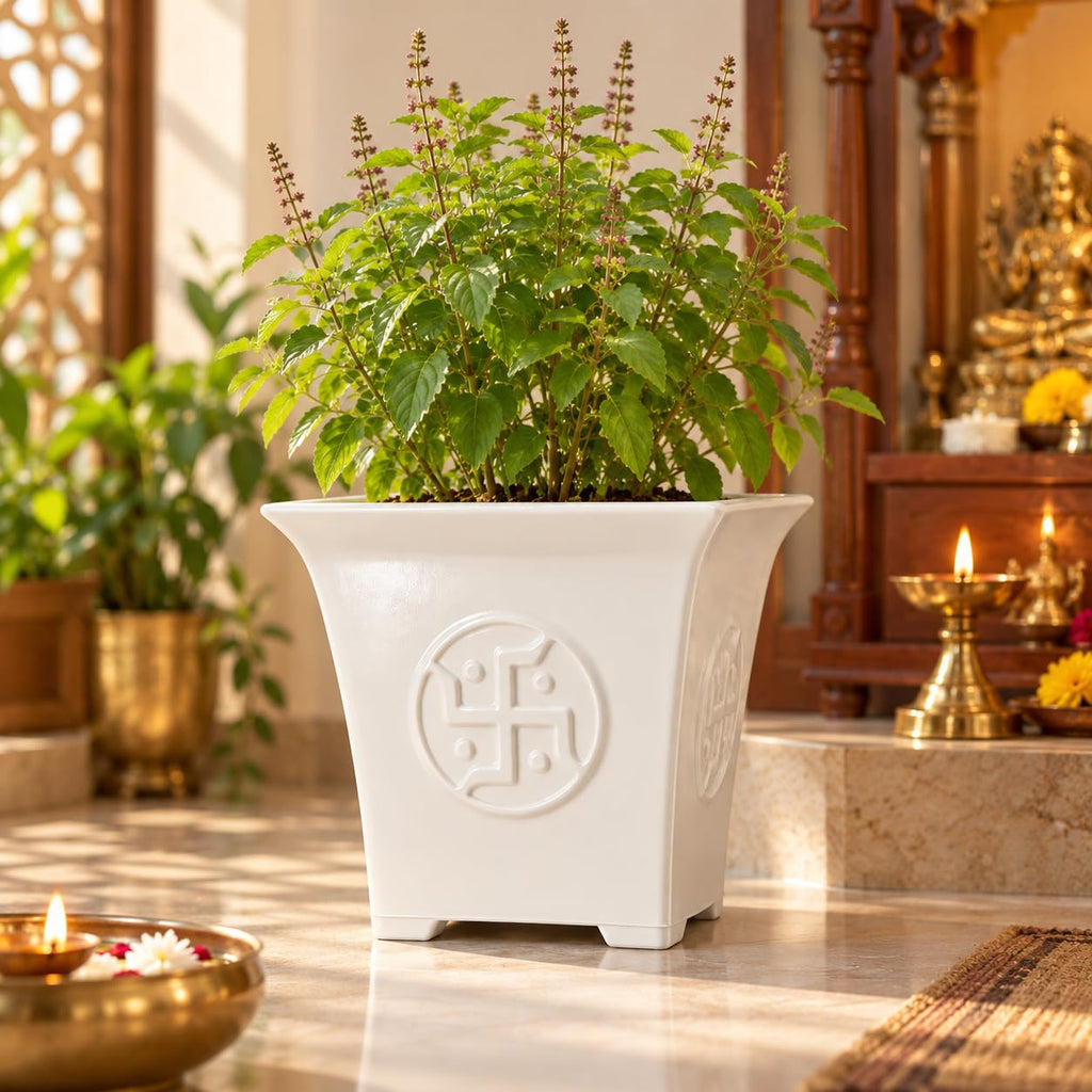 Tulsi planter with Tulsi plant in a home puja space