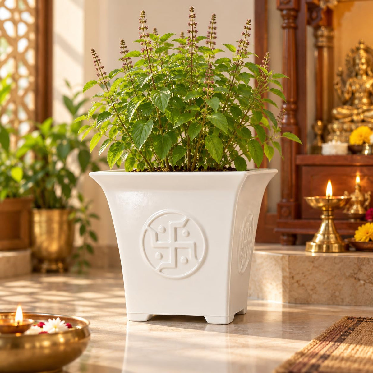 Tulsi planter with Tulsi plant in a home puja space