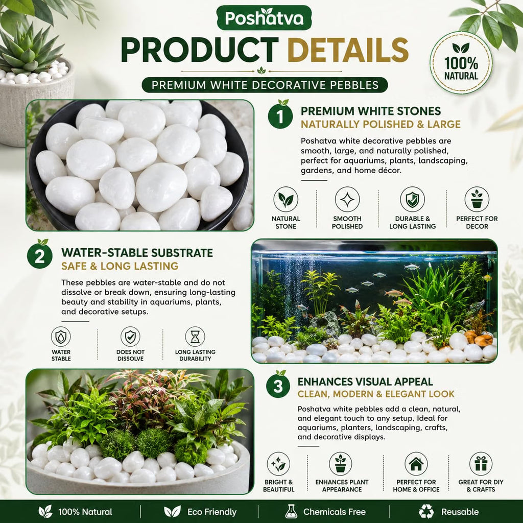 White decorative pebbles product details