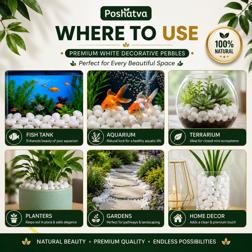 Where to use white decorative pebbles