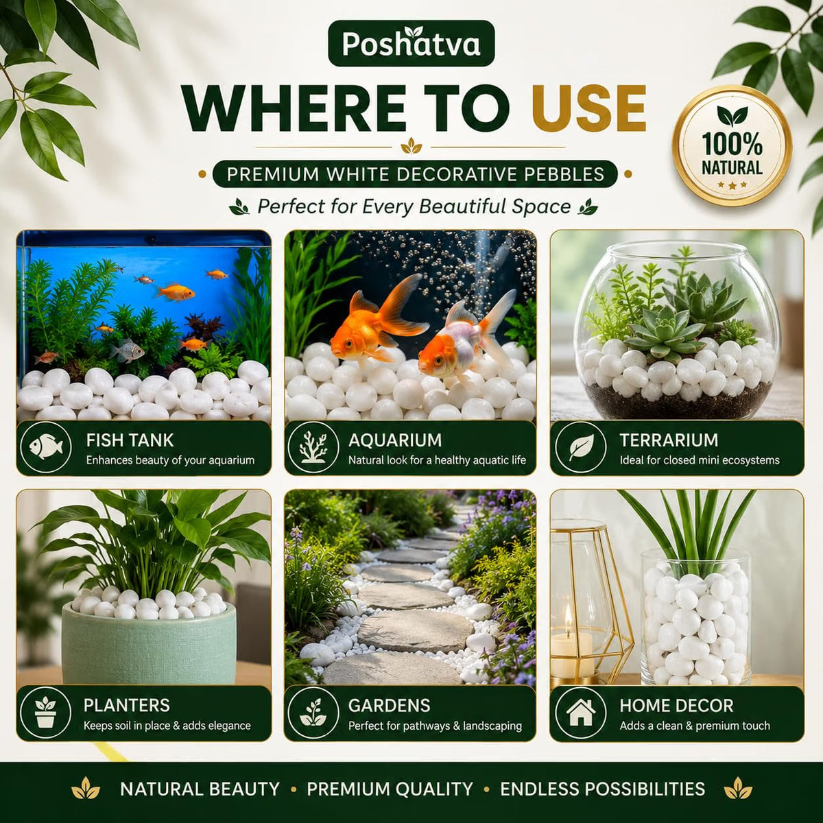 Where to use white decorative pebbles