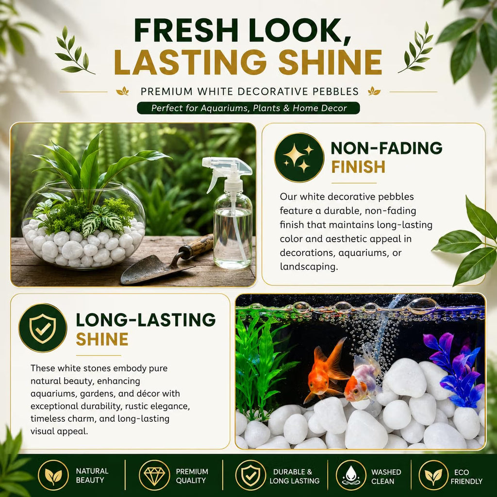 White pebbles in terrarium and aquarium